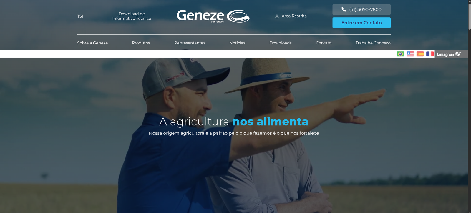 geneze